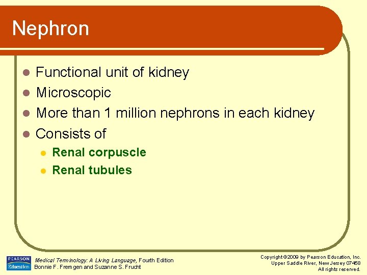 Nephron Functional unit of kidney l Microscopic l More than 1 million nephrons in