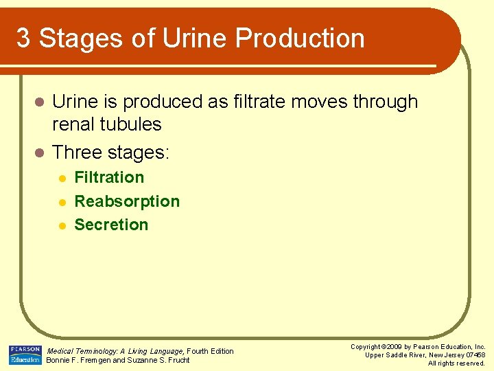 3 Stages of Urine Production Urine is produced as filtrate moves through renal tubules