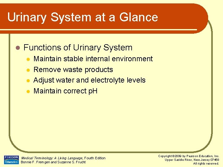 Urinary System at a Glance l Functions of Urinary System l l Maintain stable