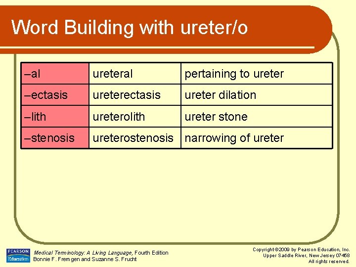 Word Building with ureter/o –al ureteral pertaining to ureter –ectasis ureter dilation –lith ureterolith