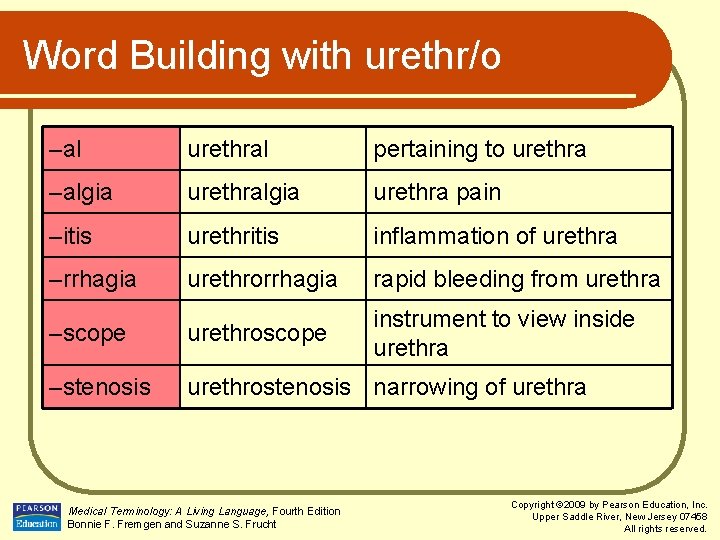 Word Building with urethr/o –al urethral pertaining to urethra –algia urethra pain –itis urethritis