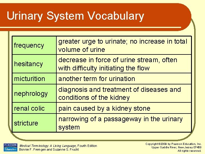 Urinary System Vocabulary frequency greater urge to urinate; no increase in total volume of