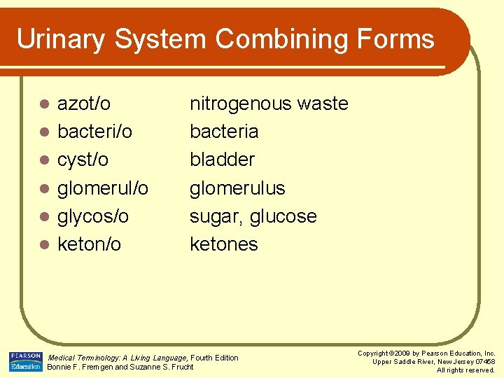 Urinary System Combining Forms l l l azot/o bacteri/o cyst/o glomerul/o glycos/o keton/o nitrogenous