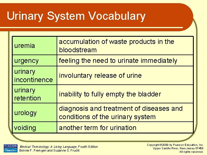 Urinary System Vocabulary uremia accumulation of waste products in the bloodstream urgency feeling the