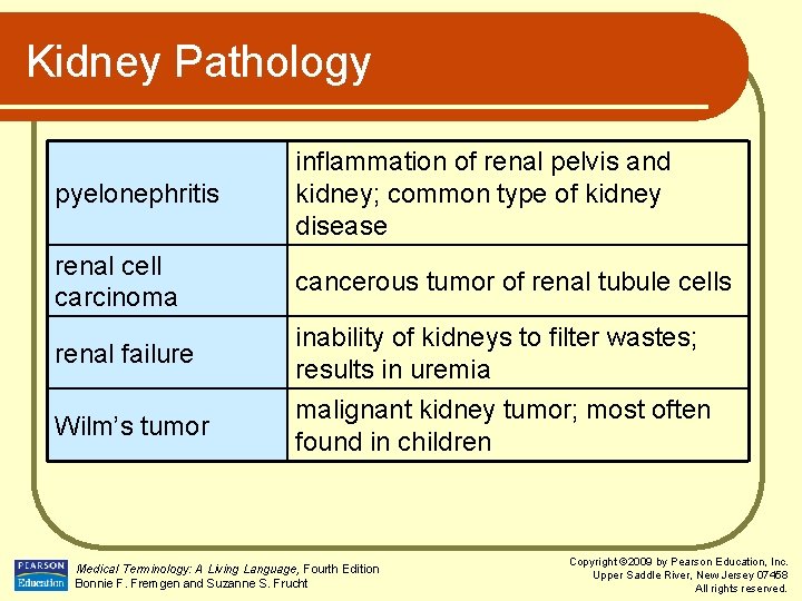 Kidney Pathology pyelonephritis inflammation of renal pelvis and kidney; common type of kidney disease