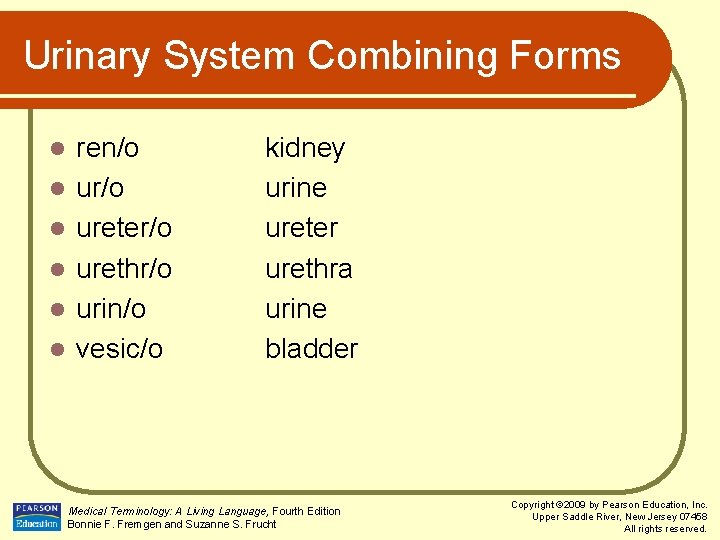 Urinary System Combining Forms l l l ren/o ureter/o urethr/o urin/o vesic/o kidney urine
