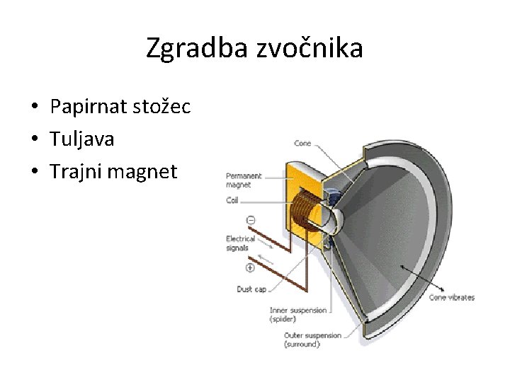 Zgradba zvočnika • Papirnat stožec • Tuljava • Trajni magnet 