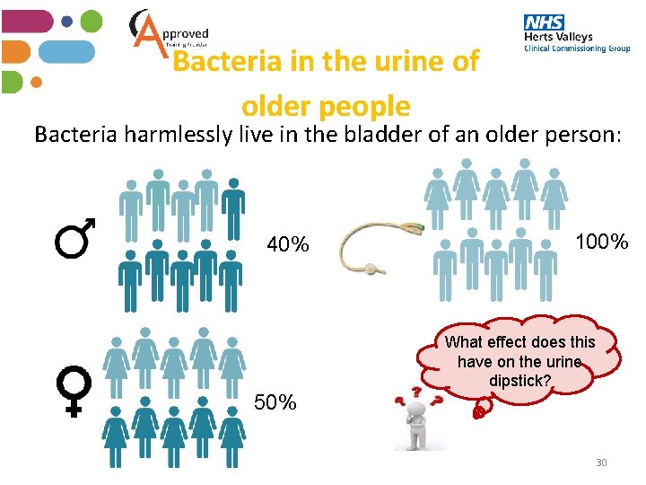 Bacteria in the urine of older people Bacteria harmlessly live in the bladder of