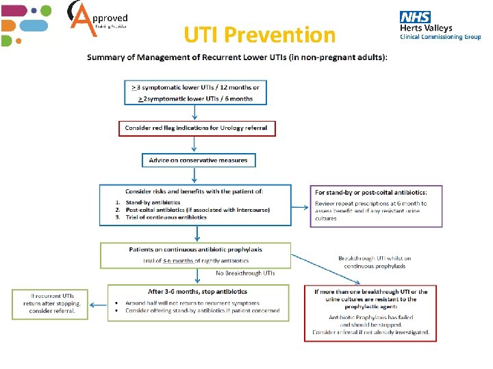 UTI Prevention 38 