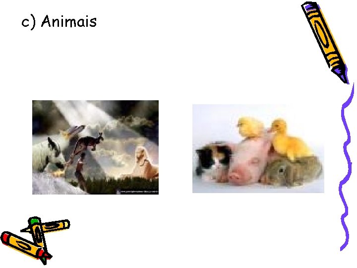 c) Animais 