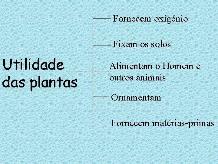 Fornecem oxigénio Fixam os solos Utilidade das plantas Alimentam o Homem e outros animais Fornecem oxigénio Fixam os solos Utilidade das plantas Alimentam o Homem e outros animais