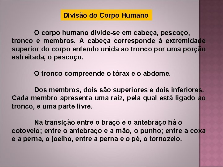 Divisão do Corpo Humano O corpo humano divide-se em cabeça, pescoço, tronco e membros.