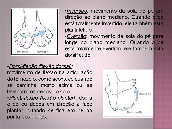  • Inversão: movimento da sola do pé em direção ao plano mediano. Quando