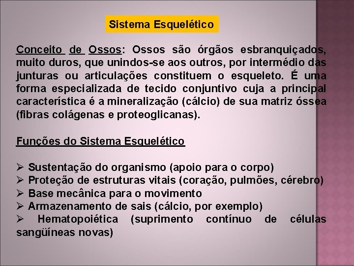 Sistema Esquelético Conceito de Ossos: Ossos são órgãos esbranquiçados, muito duros, que unindos-se aos