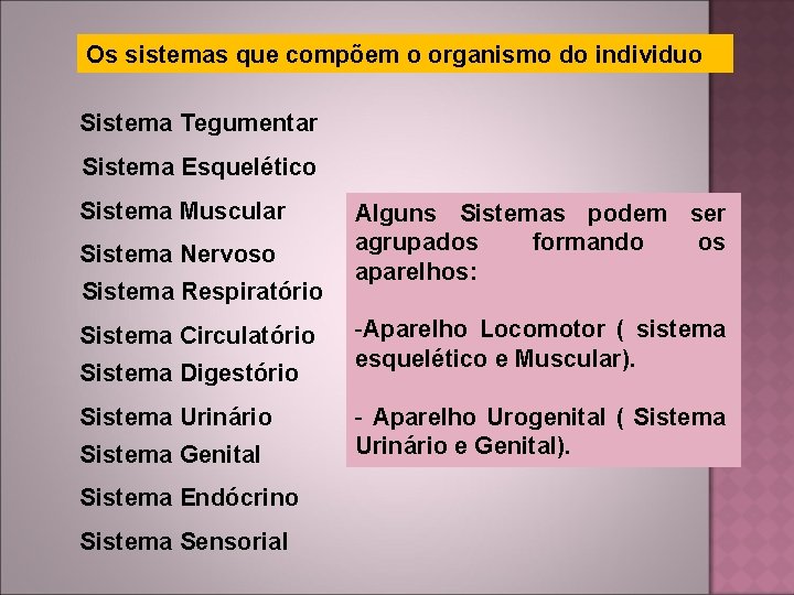 Os sistemas que compõem o organismo do individuo Sistema Tegumentar Sistema Esquelético Sistema Muscular