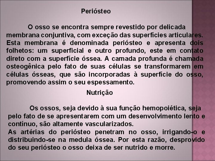  Periósteo O osso se encontra sempre revestido por delicada membrana conjuntiva, com exceção