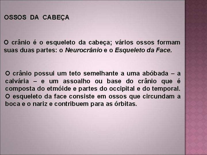 OSSOS DA CABEÇA O crânio é o esqueleto da cabeça; vários ossos formam suas