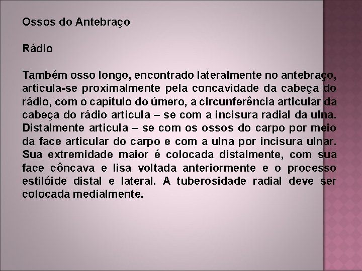 Ossos do Antebraço Rádio Também osso longo, encontrado lateralmente no antebraço, articula-se proximalmente pela