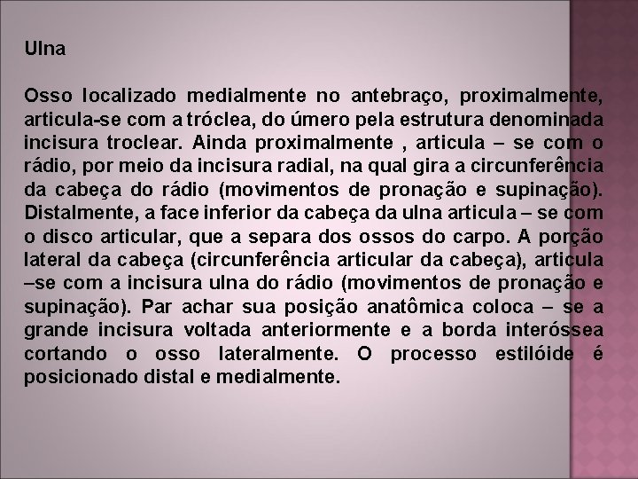 Ulna Osso localizado medialmente no antebraço, proximalmente, articula-se com a tróclea, do úmero pela