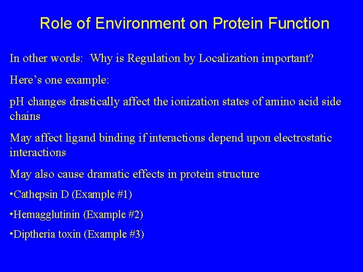 Role of Environment on Protein Function In other words: Why is Regulation by Localization