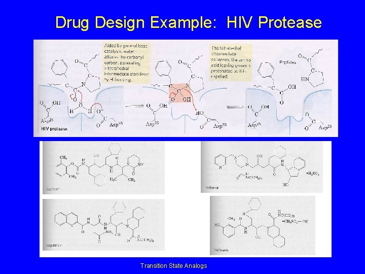 Drug Design Example: HIV Protease Transition State Analogs 