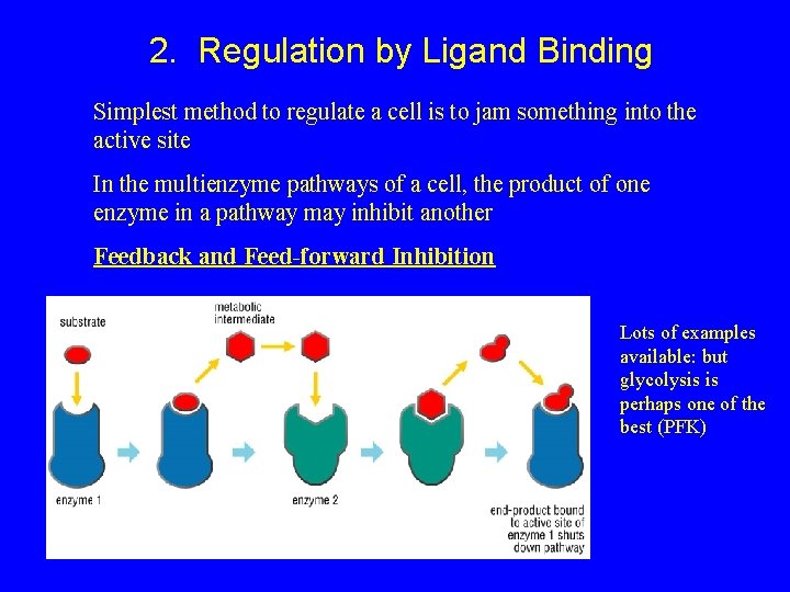 2. Regulation by Ligand Binding Simplest method to regulate a cell is to jam