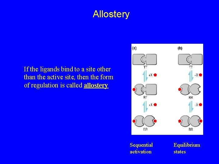 Allostery If the ligands bind to a site other than the active site, then