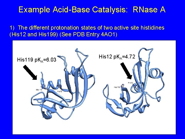 Example Acid-Base Catalysis: RNase A 1) The different protonation states of two active site