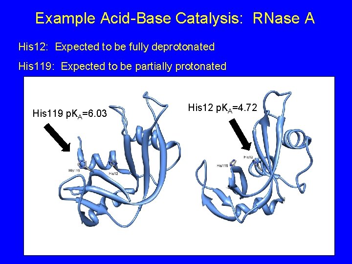 Example Acid-Base Catalysis: RNase A His 12: Expected to be fully deprotonated His 119: