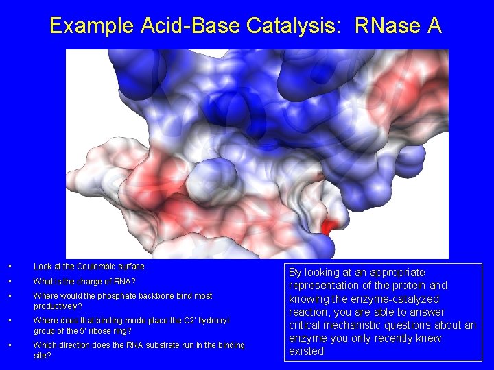 Example Acid-Base Catalysis: RNase A • Look at the Coulombic surface • What is