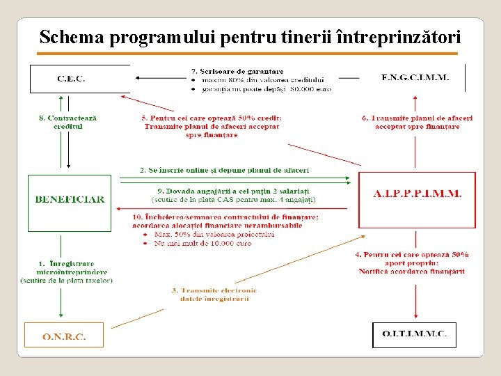 Schema programului pentru tinerii întreprinzători 24 