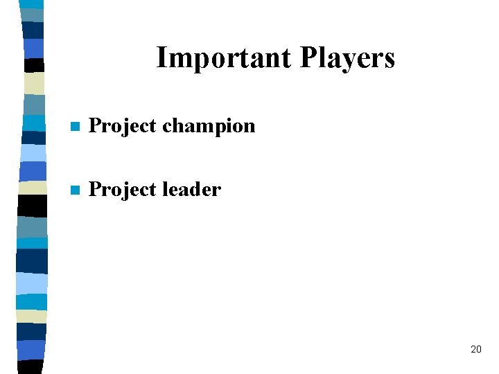 Important Players n Project champion n Project leader 20 