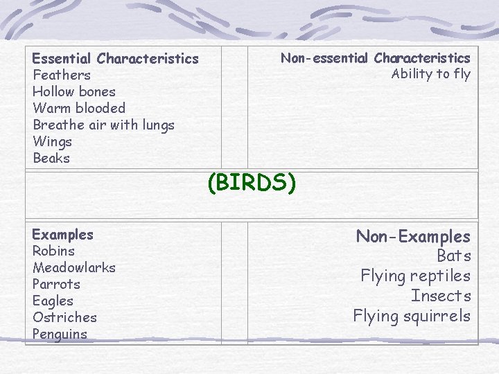  Essential Characteristics Feathers Hollow bones Warm blooded Breathe air with lungs Wings Beaks