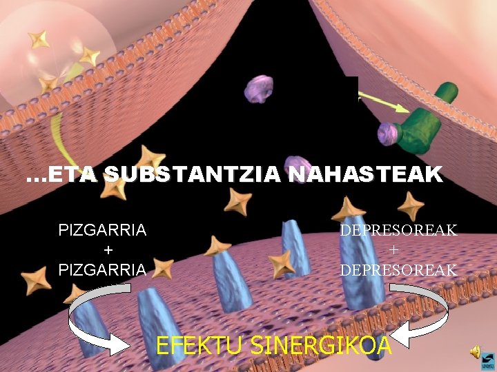 . . . ETA SUBSTANTZIA NAHASTEAK PIZGARRIA + PIZGARRIA DEPRESOREAK + DEPRESOREAK EFEKTU SINERGIKOA