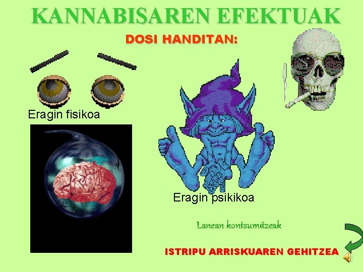 KANNABISAREN EFEKTUAK DOSI HANDITAN: Eragin fisikoa Eragin psikikoa Lanean kontsumitzeak ISTRIPU ARRISKUAREN GEHITZEA 