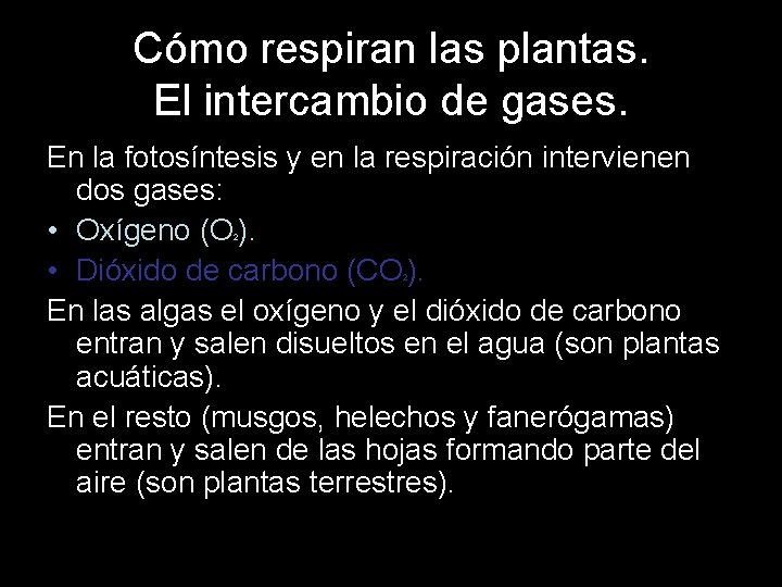 Cómo respiran las plantas. El intercambio de gases. En la fotosíntesis y en la