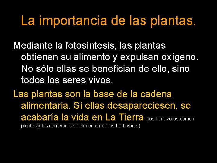 La importancia de las plantas. Mediante la fotosíntesis, las plantas obtienen su alimento y