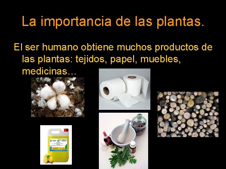 La importancia de las plantas. El ser humano obtiene muchos productos de las plantas: