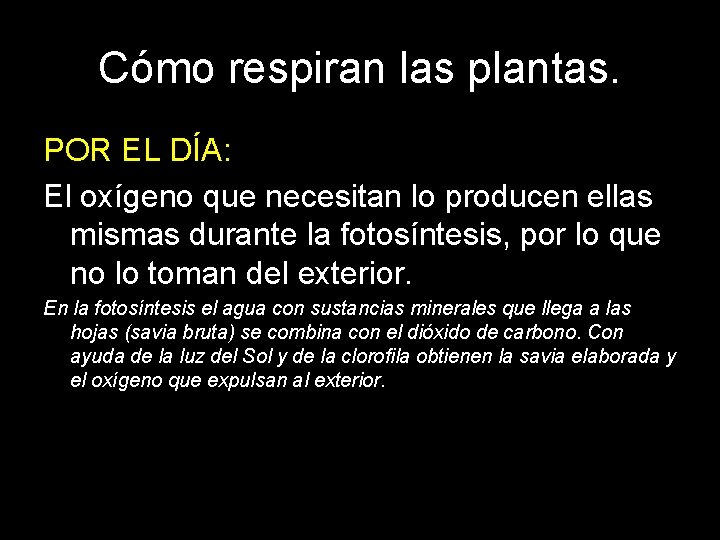 Cómo respiran las plantas. POR EL DÍA: El oxígeno que necesitan lo producen ellas