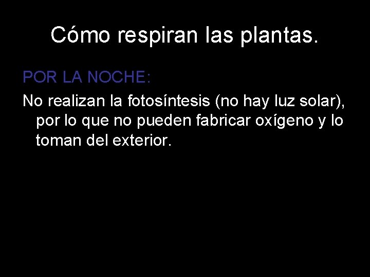 Cómo respiran las plantas. POR LA NOCHE: No realizan la fotosíntesis (no hay luz