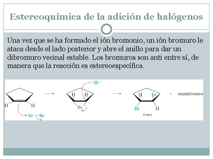 Estereoquímica de la adición de halógenos Una vez que se ha formado el ión