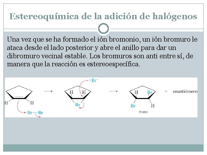 Estereoquímica de la adición de halógenos Una vez que se ha formado el ión