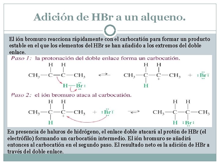 Adición de HBr a un alqueno. El ión bromuro reacciona rápidamente con el carbocatión