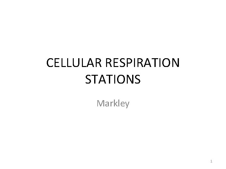 CELLULAR RESPIRATION STATIONS Markley 1 
