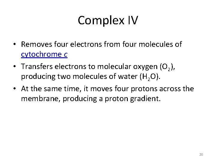 Complex IV • Removes four electrons from four molecules of cytochrome c • Transfers