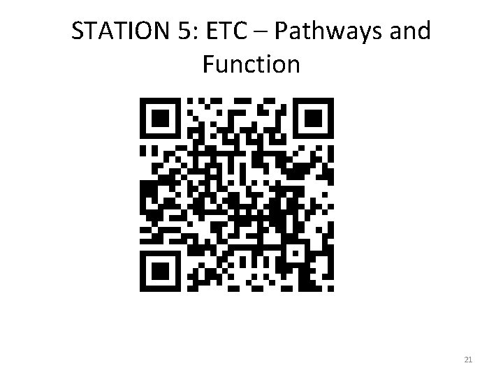 STATION 5: ETC – Pathways and Function 21 