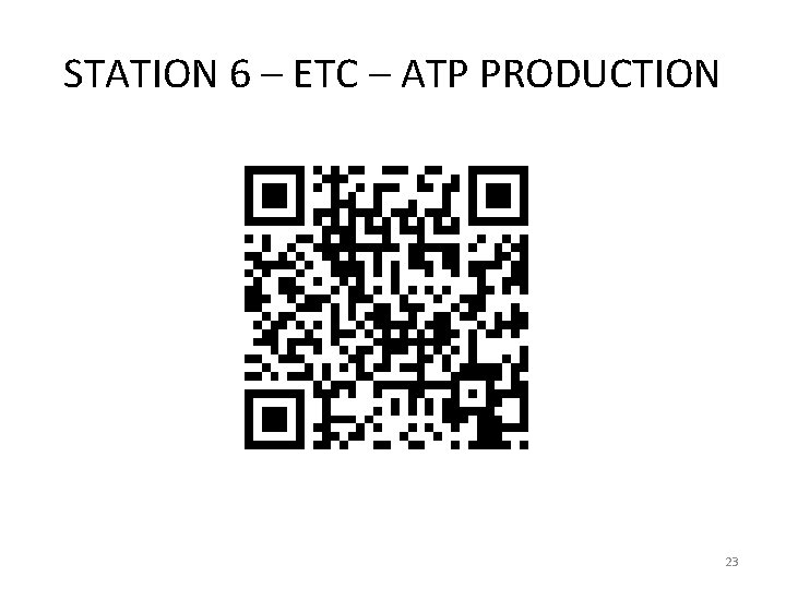 STATION 6 – ETC – ATP PRODUCTION 23 