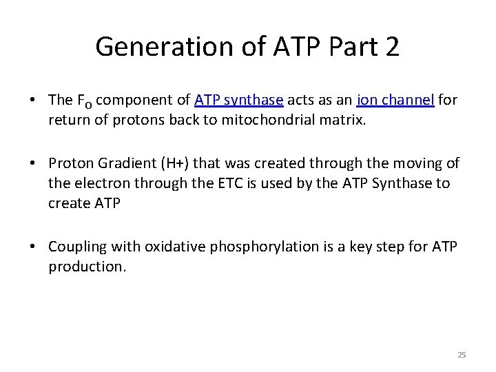 Generation of ATP Part 2 • The FO component of ATP synthase acts as