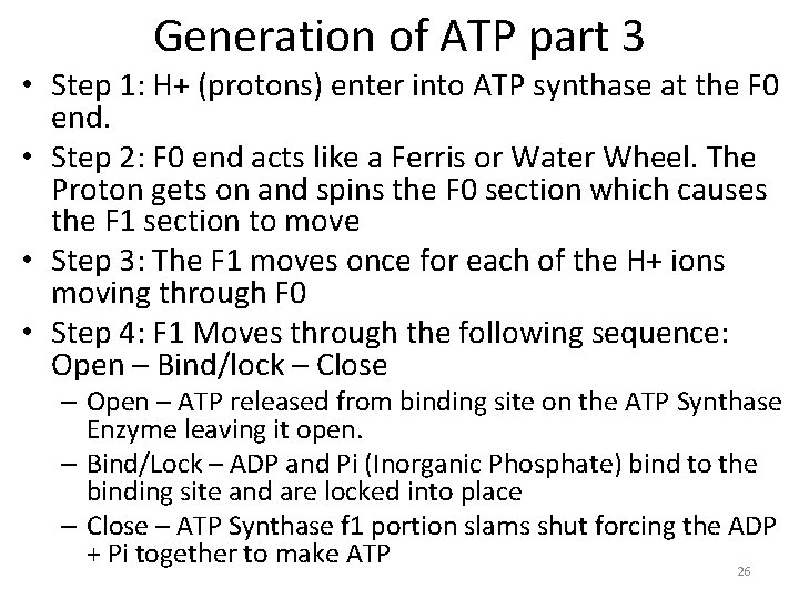 Generation of ATP part 3 • Step 1: H+ (protons) enter into ATP synthase