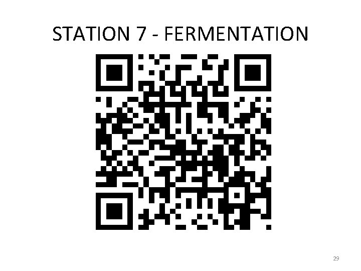 STATION 7 - FERMENTATION 29 